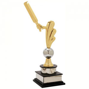 Cricket Trophy Manufacturers in Indore