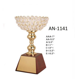 Raising Day Trophy Manufacturers in Indore