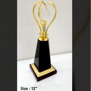 __trophy Manufacturers in Delhi