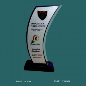 _trophy Manufacturers in Delhi