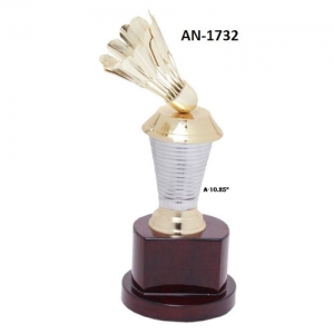 trophy Manufacturers in Delhi
